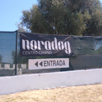 Logo de Noradog Centro Canino