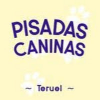 Logo de Pisadas Caninas Teruel