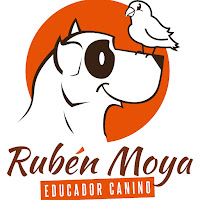 Logo de RUBÉN MOYA - Educador. DOGGY CENTRO Y HOTEL CANINO. Adiestramiento Albacete