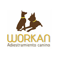 Logo de WORKAN