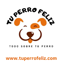 Logo de Campamendog - Tu perro feliz