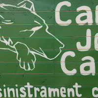 Logo de CANJOANCANINS