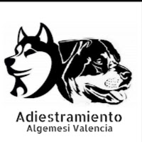 Logo de Adiestramiento Algemesi Valencia